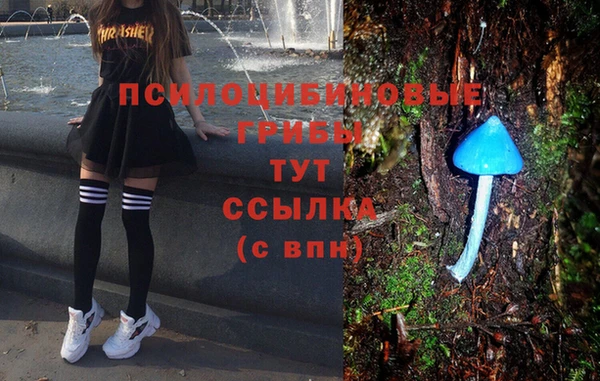 MESCALINE Заводоуковск